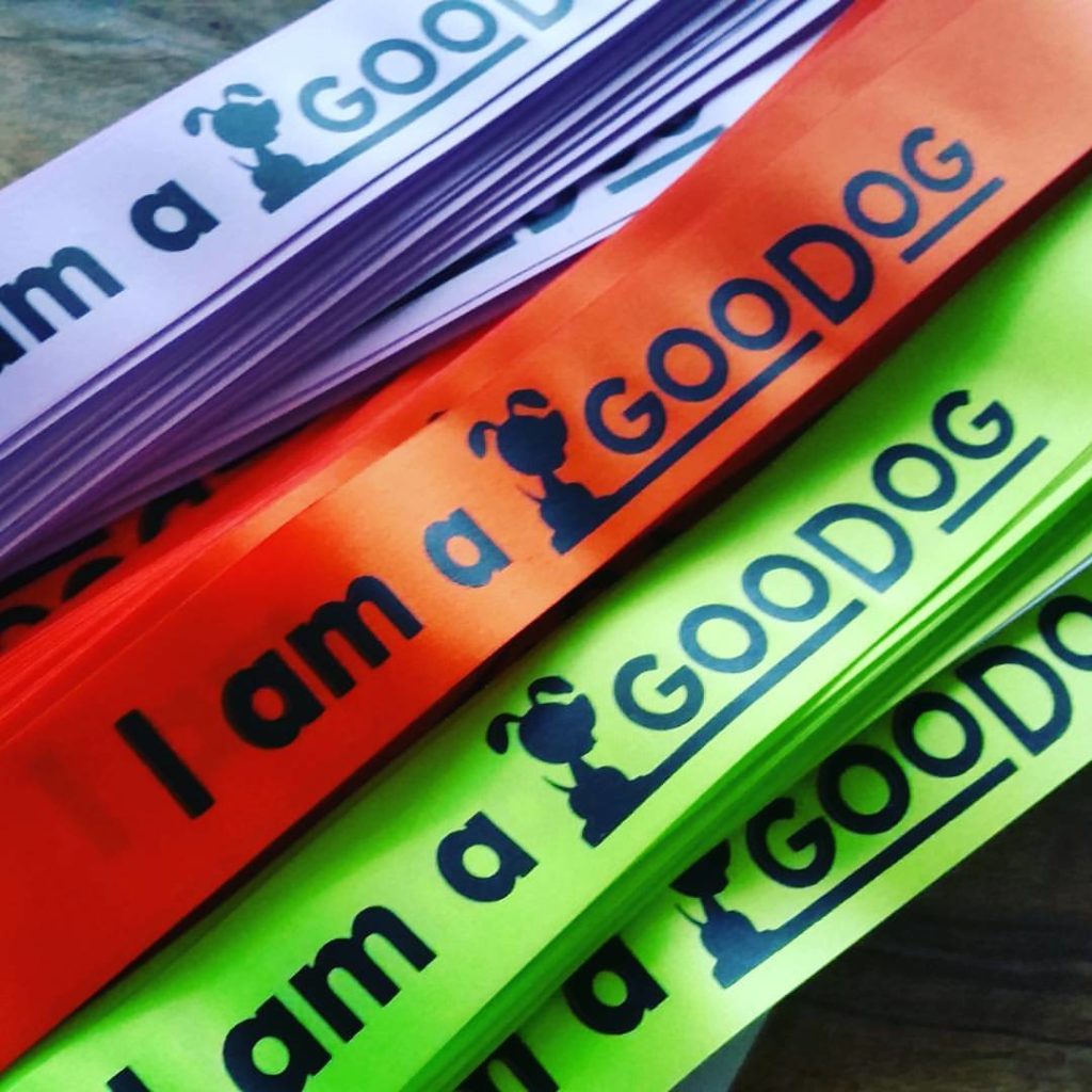 Goodog graduation ribbons