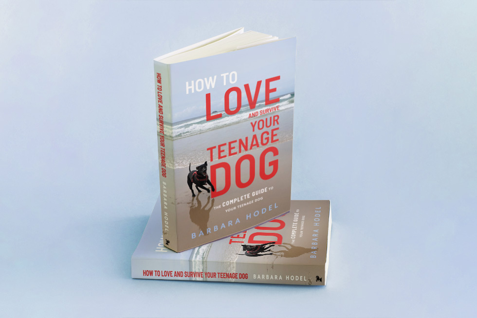 How to love and survive your teenage dog – Barbara Hodel